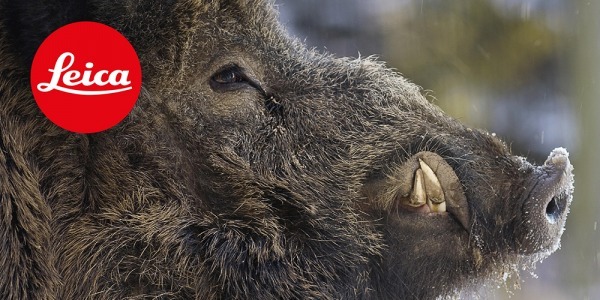 Campo visivo totale - Speciale LEICA